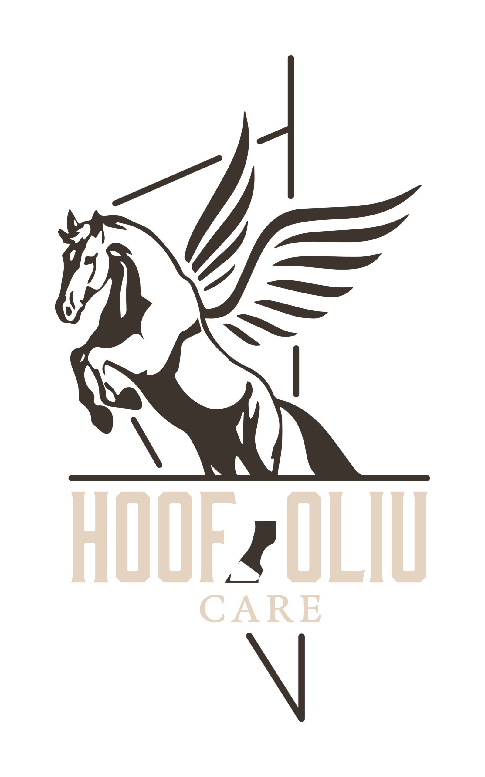 logo blanc hoofoliucare