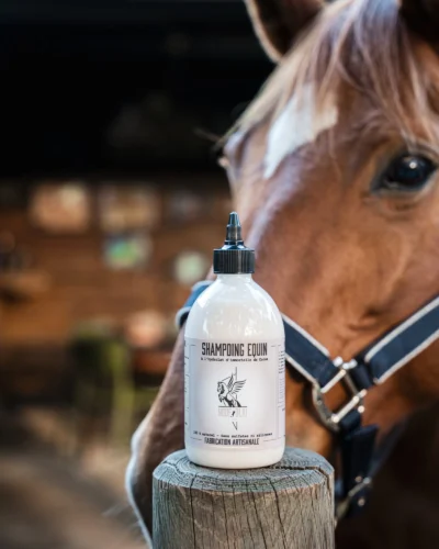 shampoing équin SHAMPOING EQUIN à l’IMMORTELLE DE CORSE