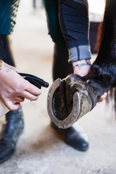 soin-pour-sabot-application soin-pour-sabot-pied-cheval